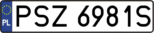 PSZ6981S