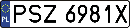 PSZ6981X