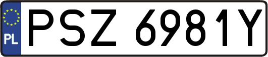 PSZ6981Y