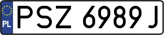 PSZ6989J