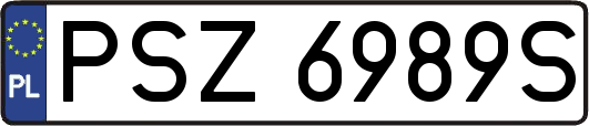 PSZ6989S