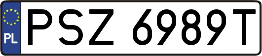 PSZ6989T