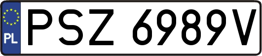 PSZ6989V