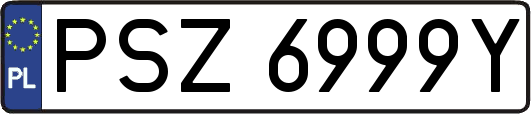 PSZ6999Y