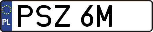 PSZ6M