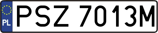 PSZ7013M
