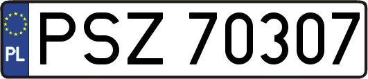 PSZ70307