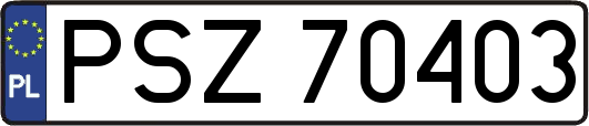 PSZ70403