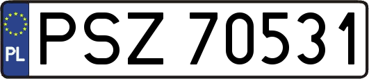 PSZ70531