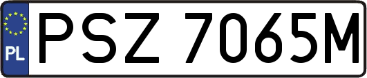 PSZ7065M