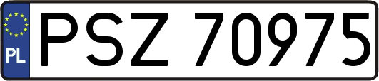 PSZ70975
