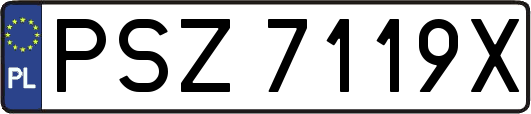 PSZ7119X