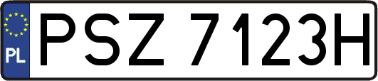 PSZ7123H