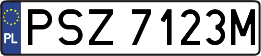 PSZ7123M