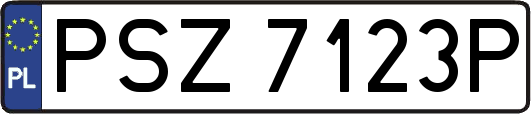 PSZ7123P