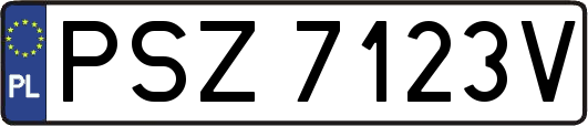 PSZ7123V