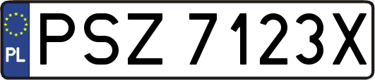 PSZ7123X