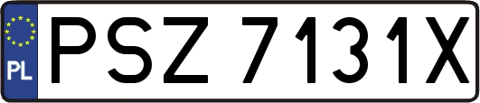 PSZ7131X