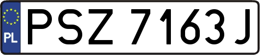 PSZ7163J