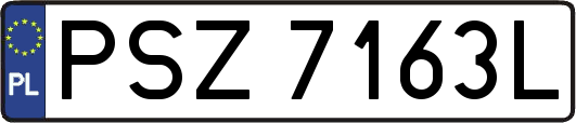PSZ7163L