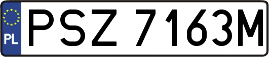 PSZ7163M