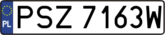 PSZ7163W