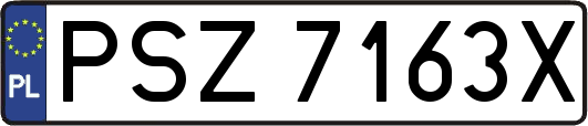 PSZ7163X