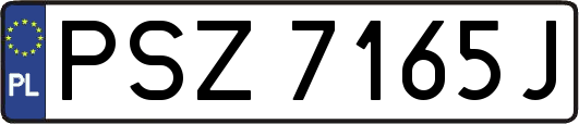 PSZ7165J