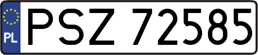 PSZ72585