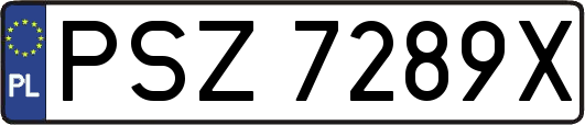PSZ7289X
