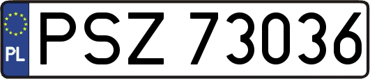 PSZ73036