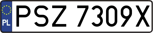 PSZ7309X