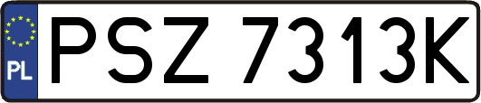 PSZ7313K