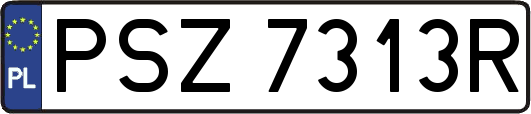 PSZ7313R