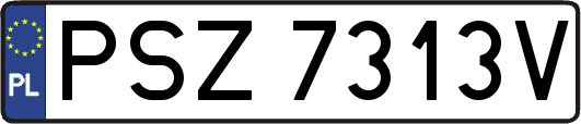 PSZ7313V