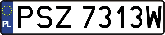 PSZ7313W