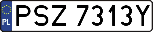 PSZ7313Y
