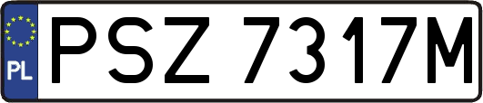 PSZ7317M