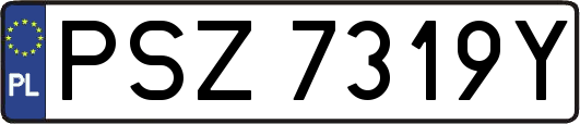 PSZ7319Y