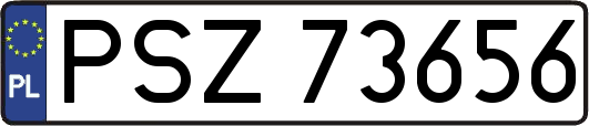 PSZ73656