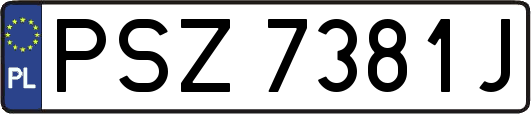 PSZ7381J