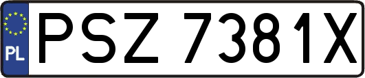 PSZ7381X