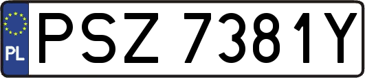 PSZ7381Y