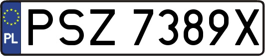 PSZ7389X