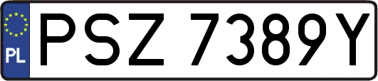 PSZ7389Y