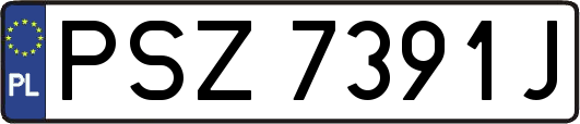PSZ7391J
