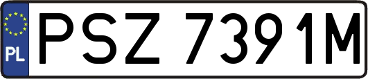 PSZ7391M