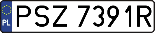 PSZ7391R