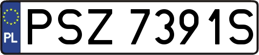 PSZ7391S