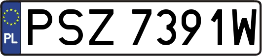 PSZ7391W